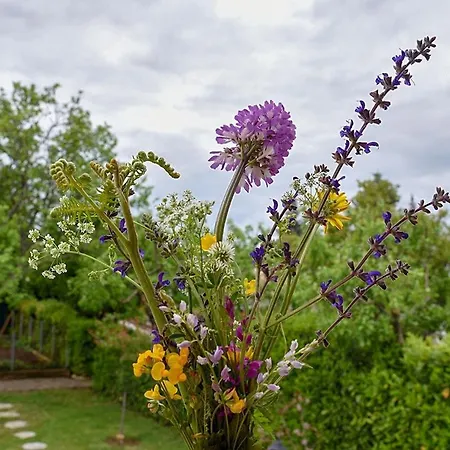Brneti & Medicinal Botanical Garden Apartment