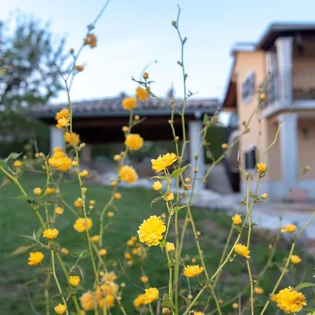 Brneti & Medicinal Botanical Garden